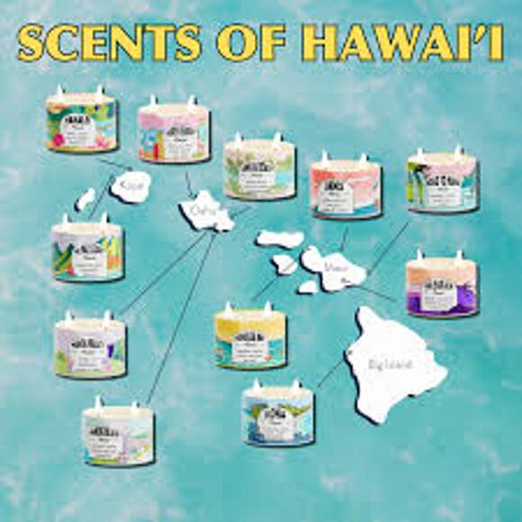 Brand New Hawaii Postcards Scented Destination "Honolula Bay" Candle - Picture 3 of 4